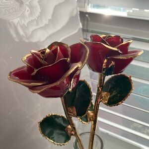 Gold Trimmed Red Forever Roses (Qty 2)